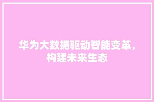 华为大数据驱动智能变革，构建未来生态
