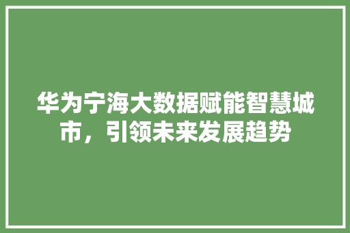 华为宁海大数据赋能智慧城市，引领未来发展趋势