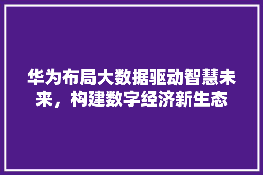 华为布局大数据驱动智慧未来，构建数字经济新生态