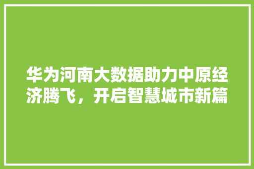 华为河南大数据助力中原经济腾飞，开启智慧城市新篇章 电脑故障维修
