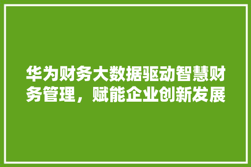 华为财务大数据驱动智慧财务管理，赋能企业创新发展的秘密武器 网络技术