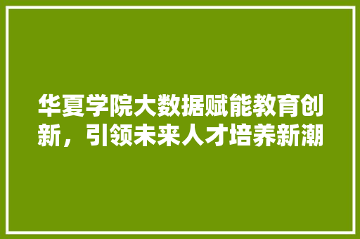 华夏学院大数据赋能教育创新，引领未来人才培养新潮流 电脑配置