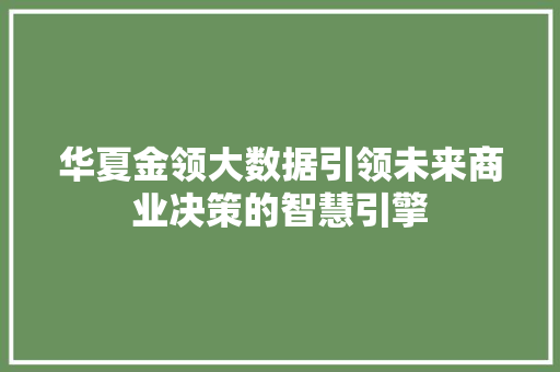 华夏金领大数据引领未来商业决策的智慧引擎