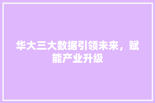 华大三大数据引领未来，赋能产业升级