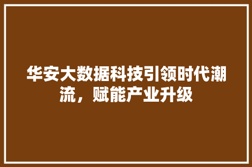 华安大数据科技引领时代潮流，赋能产业升级