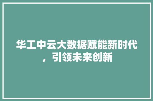 华工中云大数据赋能新时代，引领未来创新
