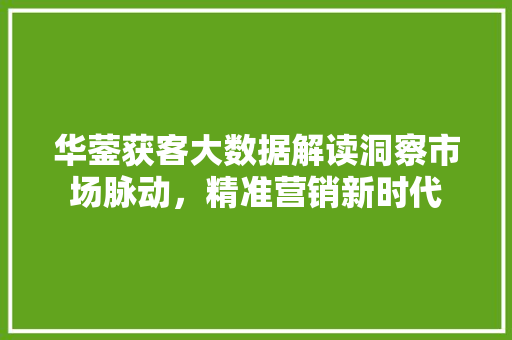 华蓥获客大数据解读洞察市场脉动，精准营销新时代