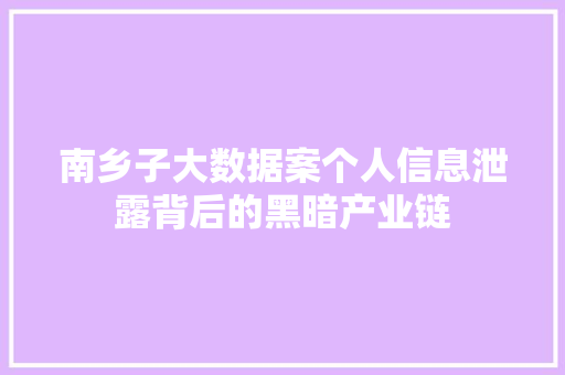 南乡子大数据案个人信息泄露背后的黑暗产业链 编程语言