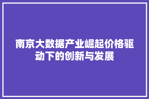 南京大数据产业崛起价格驱动下的创新与发展 编程语言