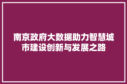 南京政府大数据助力智慧城市建设创新与发展之路