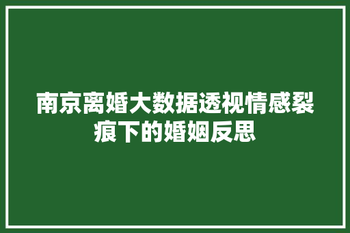 南京离婚大数据透视情感裂痕下的婚姻反思