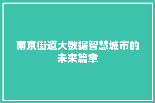 南京街道大数据智慧城市的未来篇章