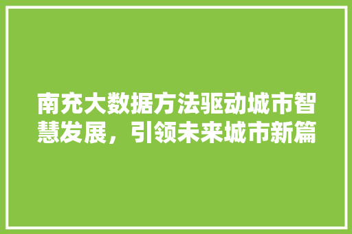 南充大数据方法驱动城市智慧发展，引领未来城市新篇章