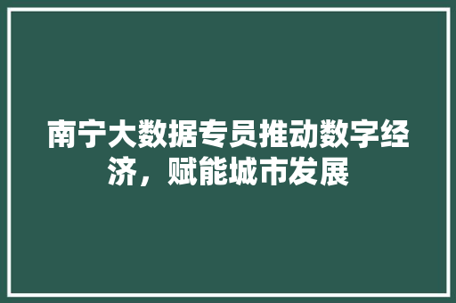 南宁大数据专员推动数字经济，赋能城市发展