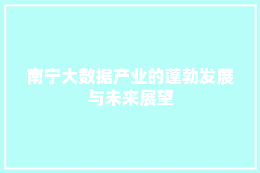 南宁大数据产业的蓬勃发展与未来展望