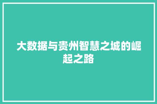 大数据与贵州智慧之城的崛起之路 电脑故障维修