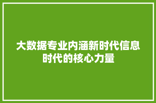 大数据专业内涵新时代信息时代的核心力量 编程语言
