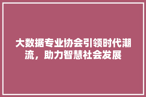 大数据专业协会引领时代潮流，助力智慧社会发展 电脑故障维修
