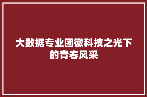 大数据专业团徽科技之光下的青春风采 电脑故障维修