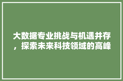 大数据专业挑战与机遇并存，探索未来科技领域的高峰 电脑基础