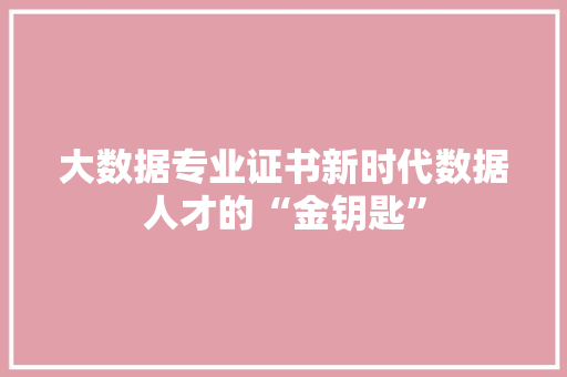 大数据专业证书新时代数据人才的“金钥匙”