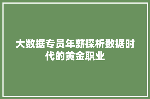 大数据专员年薪探析数据时代的黄金职业 电脑基础