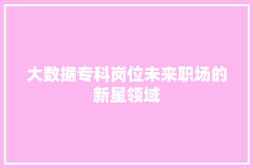 大数据专科岗位未来职场的新星领域 电脑配置
