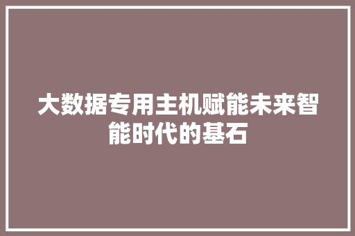大数据专用主机赋能未来智能时代的基石 编程语言