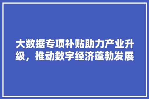 大数据专项补贴助力产业升级，推动数字经济蓬勃发展 电脑配置
