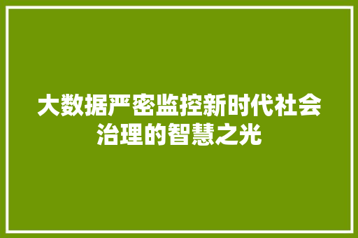 大数据严密监控新时代社会治理的智慧之光