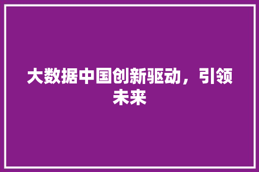 大数据中国创新驱动，引领未来