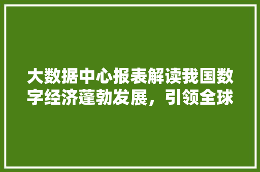 大数据中心报表解读我国数字经济蓬勃发展，引领全球新趋势 编程语言