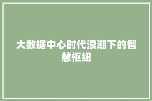 大数据中心时代浪潮下的智慧枢纽 操作系统 大数据中心时代浪潮下的智慧枢纽 操作系统