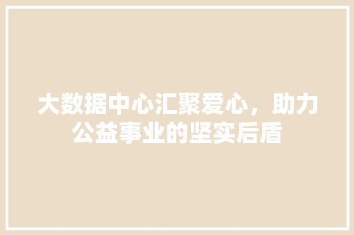 大数据中心汇聚爱心，助力公益事业的坚实后盾