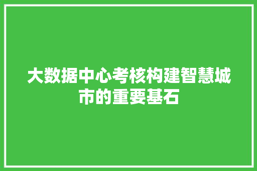 大数据中心考核构建智慧城市的重要基石