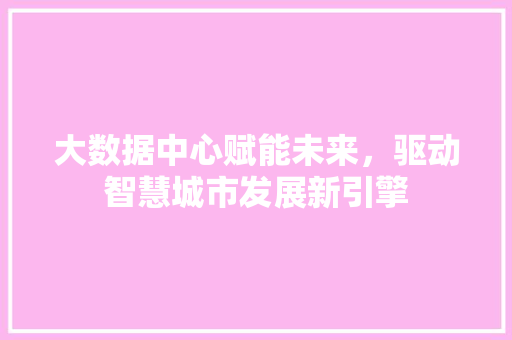 大数据中心赋能未来，驱动智慧城市发展新引擎