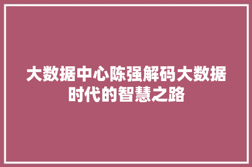 大数据中心陈强解码大数据时代的智慧之路 编程语言