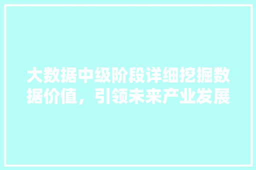 大数据中级阶段详细挖掘数据价值，引领未来产业发展 网络技术