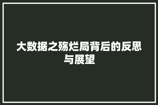 大数据之殇烂局背后的反思与展望