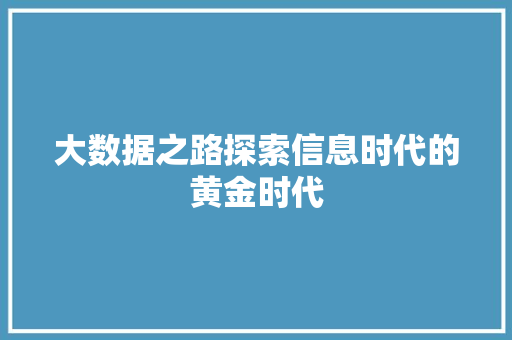 大数据之路探索信息时代的黄金时代 电脑故障维修