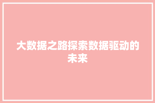 大数据之路探索数据驱动的未来