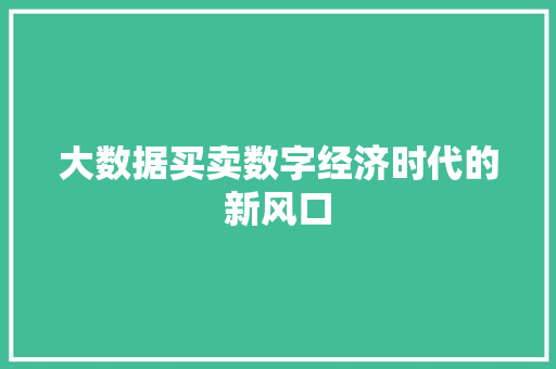 大数据买卖数字经济时代的新风口