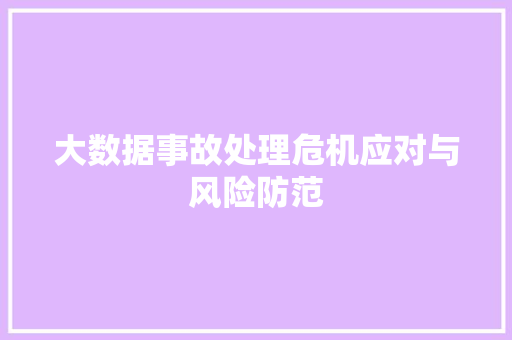 大数据事故处理危机应对与风险防范 网络技术 大数据事故处理危机应对与风险防范 网络技术