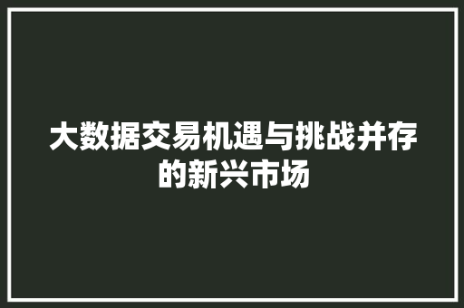 大数据交易机遇与挑战并存的新兴市场 电脑故障维修