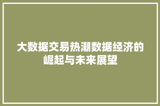 大数据交易热潮数据经济的崛起与未来展望 网络技术