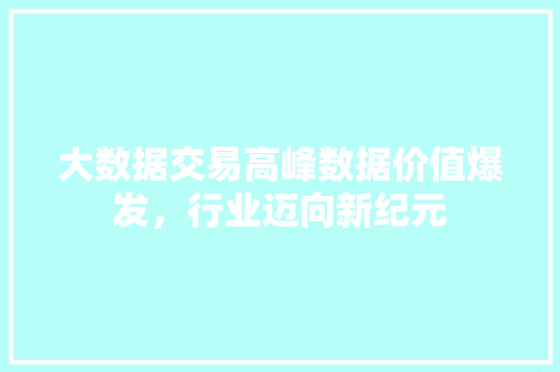 大数据交易高峰数据价值爆发，行业迈向新纪元 操作系统