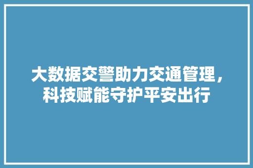 大数据交警助力交通管理，科技赋能守护平安出行 网络技术