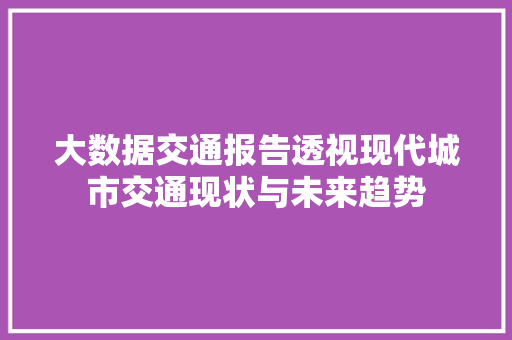 大数据交通报告透视现代城市交通现状与未来趋势
