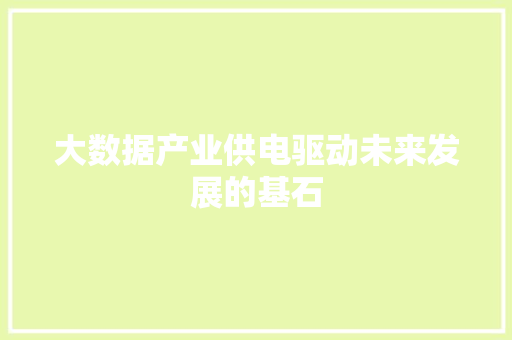 大数据产业供电驱动未来发展的基石 网络技术