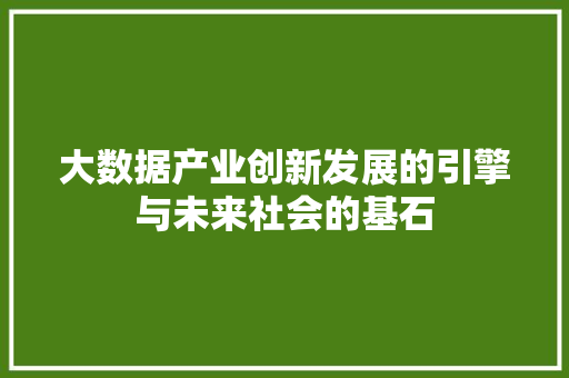 大数据产业创新发展的引擎与未来社会的基石 电脑基础